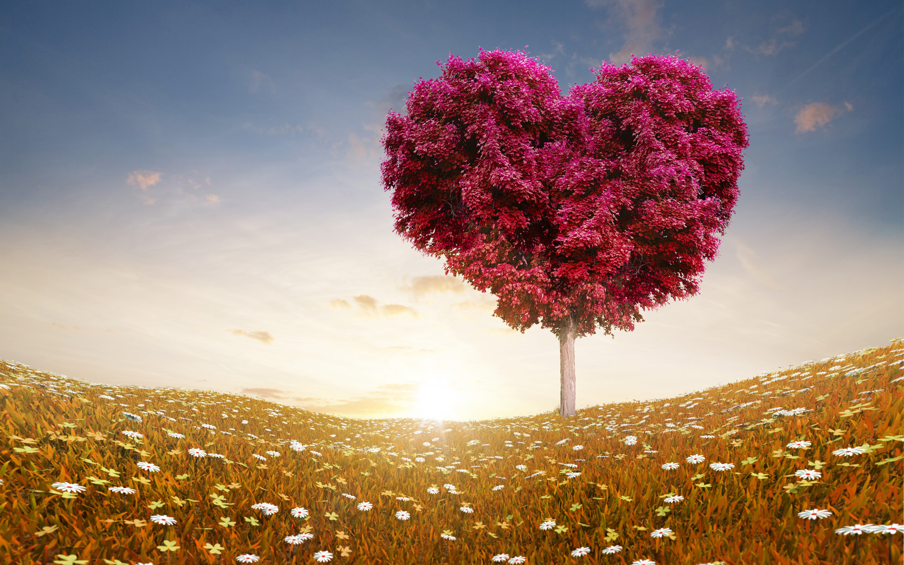 Love Heart Tree Fields6728715003 - Love Heart Tree Fields - tree, Love, Heart, fields